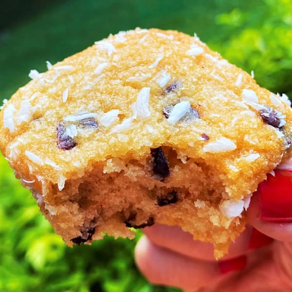 Bolinho de Coco Sem Açúcar Sem Glúten Sem Leite Belive