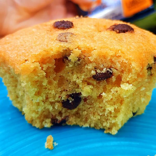 Bolinho de Laranja Sem Açúcar Sem Glúten Sem Leite Belive